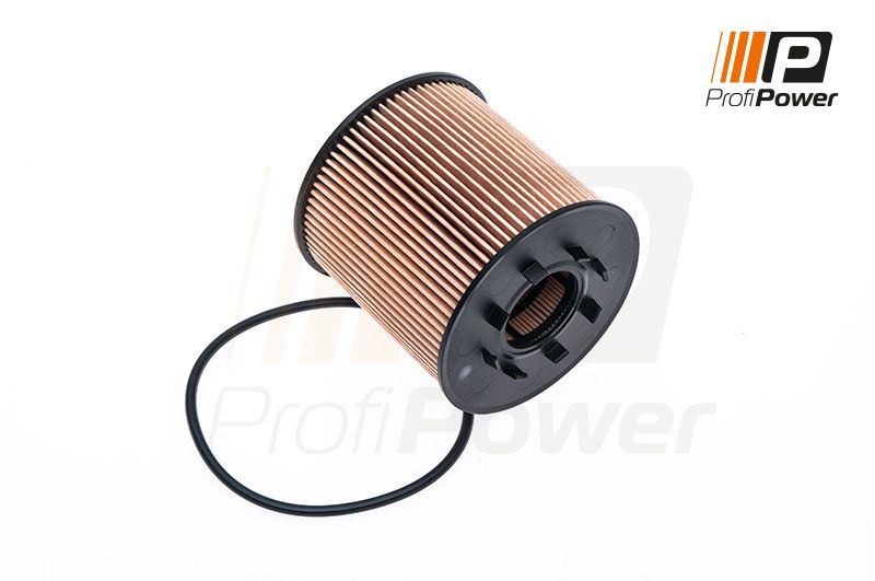 1f0066 ProfiPower Масляный фильтр