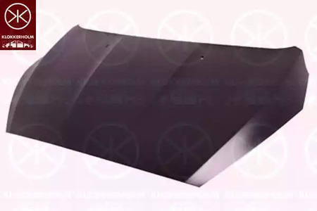 2536281 Klokkerholm Капот для Ford Focus