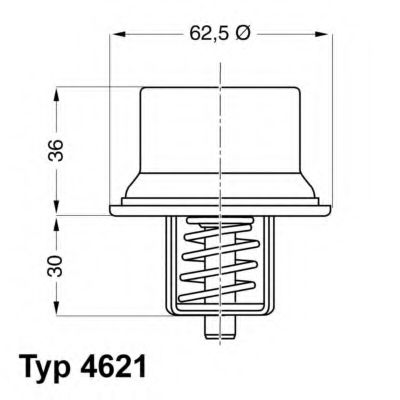 4621.80D Wahler Термостат